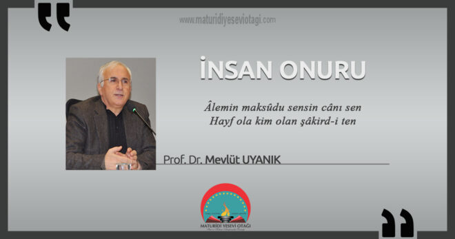 insan